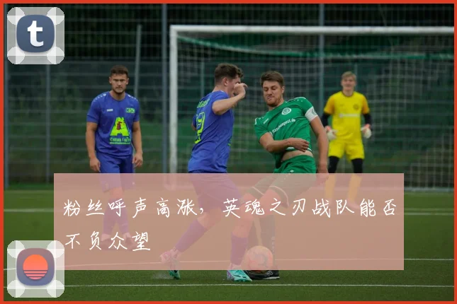 粉丝呼声高涨，英魂之刃战队能否不负众望