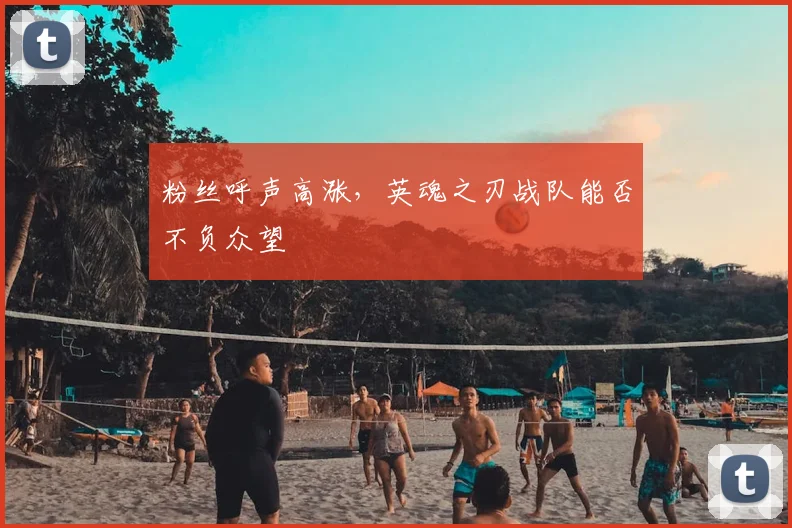 粉丝呼声高涨，英魂之刃战队能否不负众望